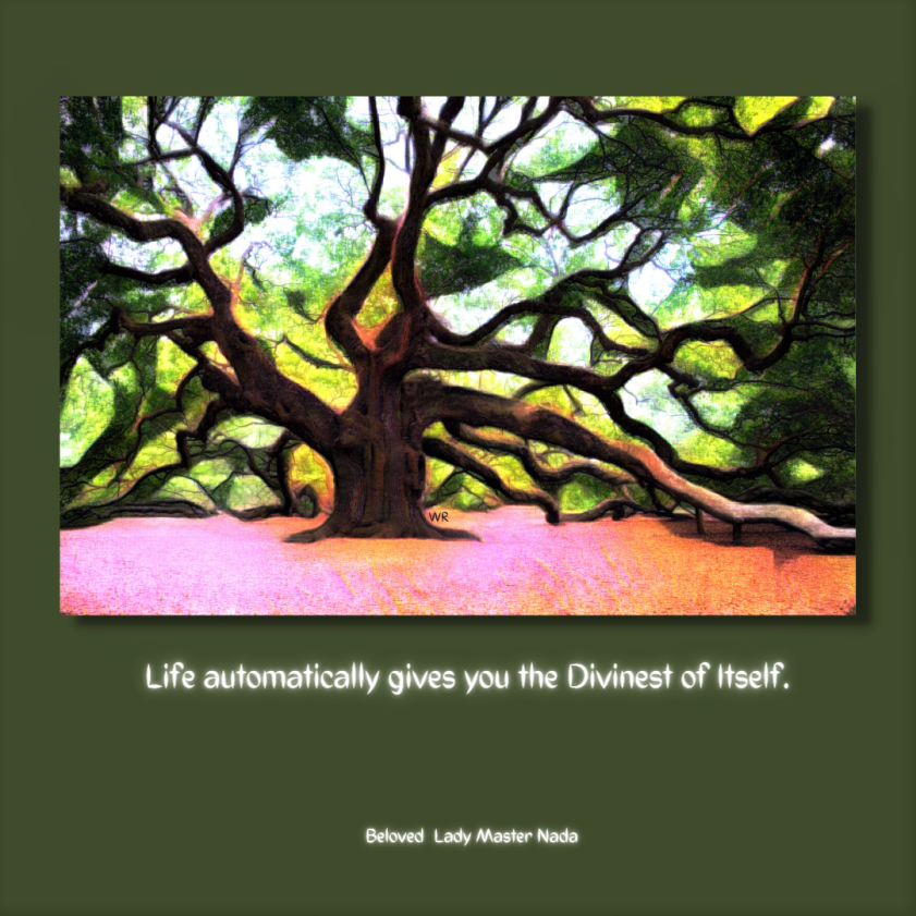 Beloved Lady Master Nada quote 4