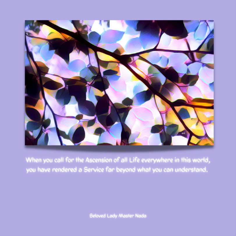 Beloved Lady Master Nada quote 12