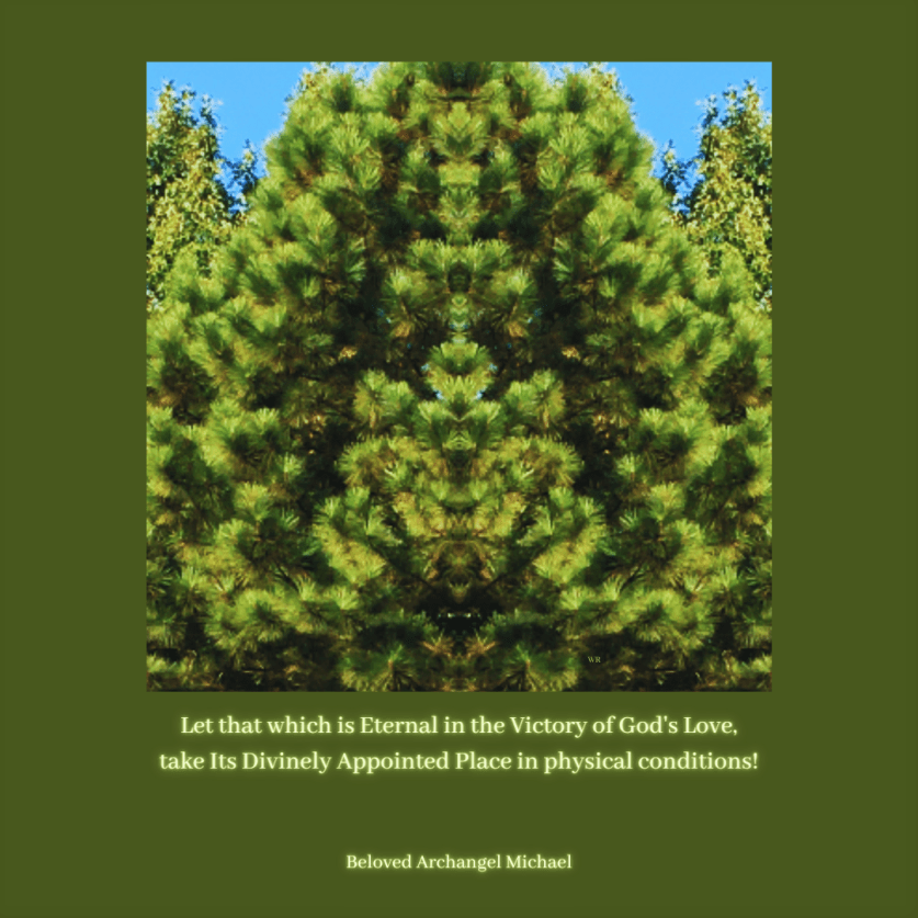 Beloved Archangel Michael quote 12