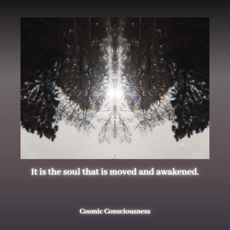 Cosmic Consciousness quote 5