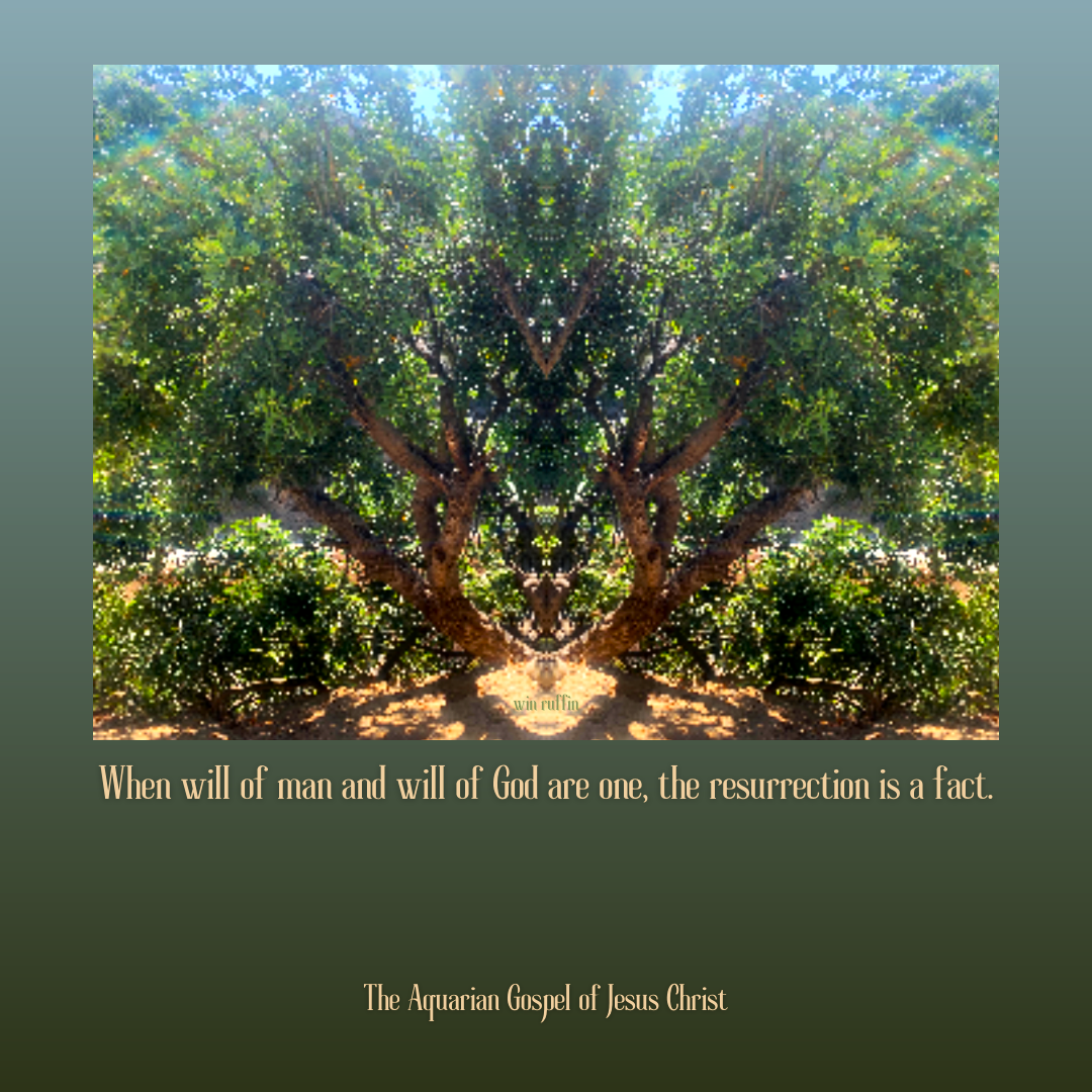 the-aquarian-gospel-of-jesus-christ-quote-6