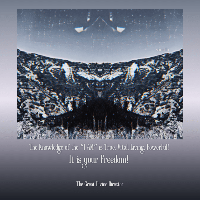 The Great Divine Director quote 31