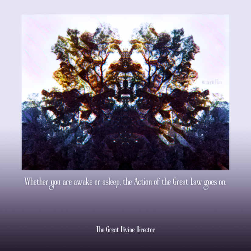 The Great Divine Director quote 305