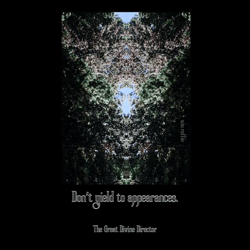 The Great Divine Director quote 318