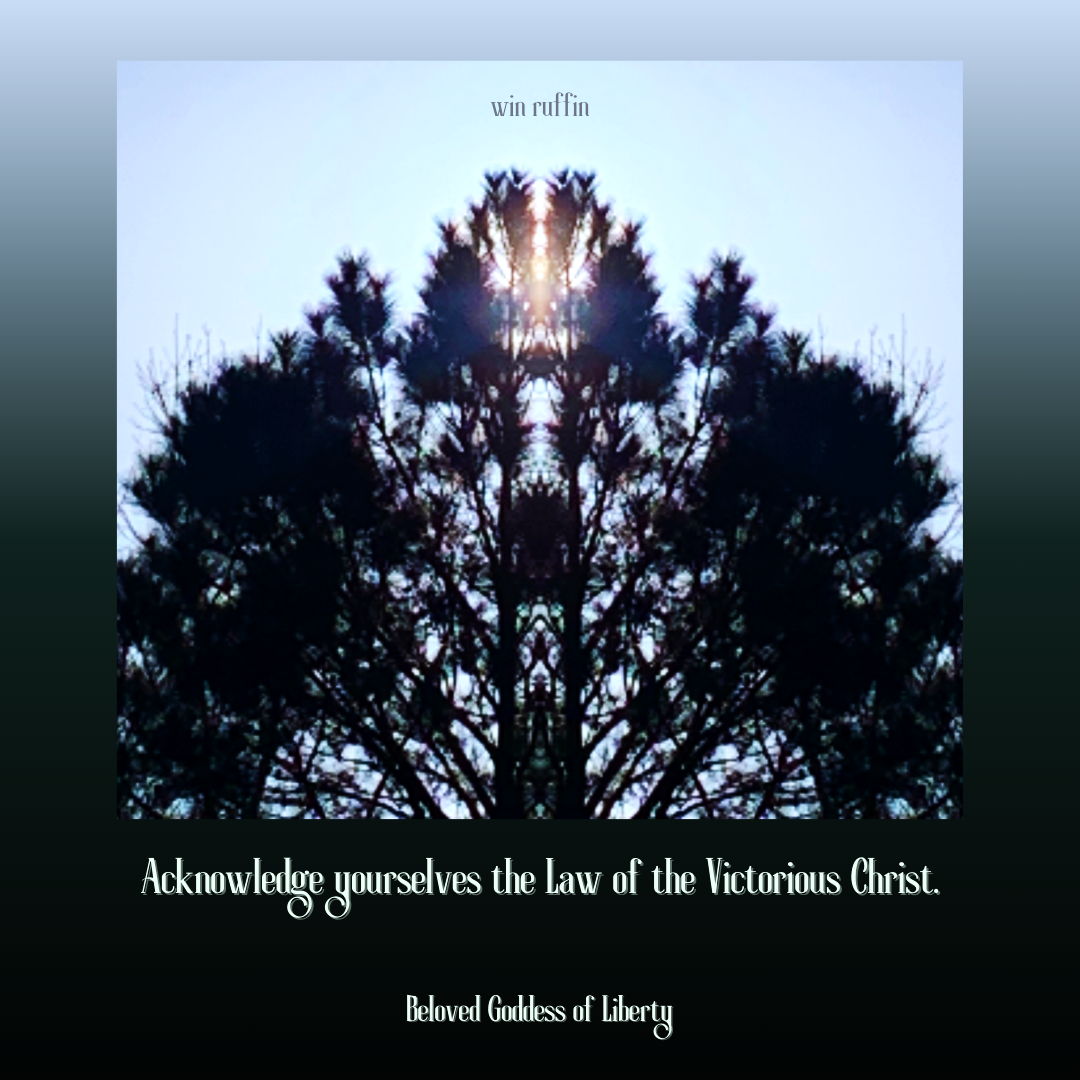 Beloved Goddess of Liberty quote 6