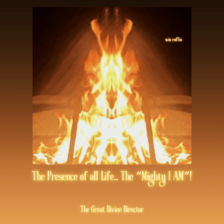 The Great Divine Director quote 385