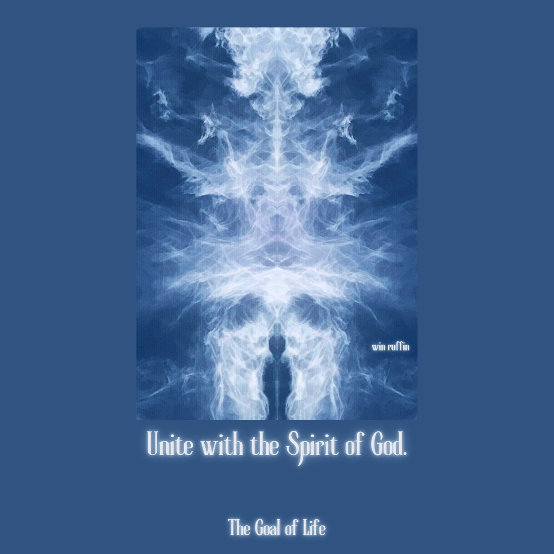 The Goal of Life quote 5a